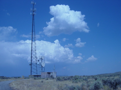 tower in blue and white